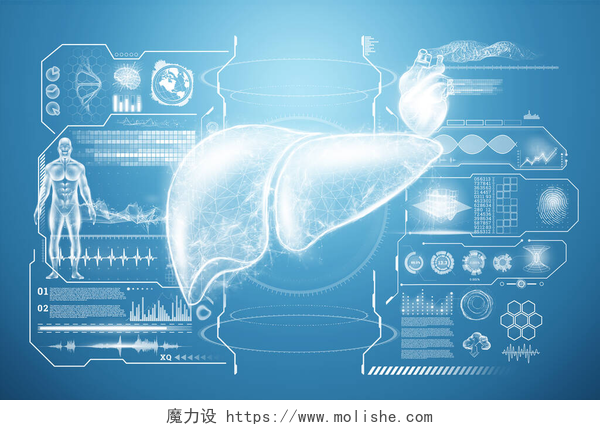 蓝色背景肝脏剖面图肝脏全息图，肝痛，医疗数据和指标。技术概念，肝炎治疗，捐赠，在线诊断。3D渲染，3D插图